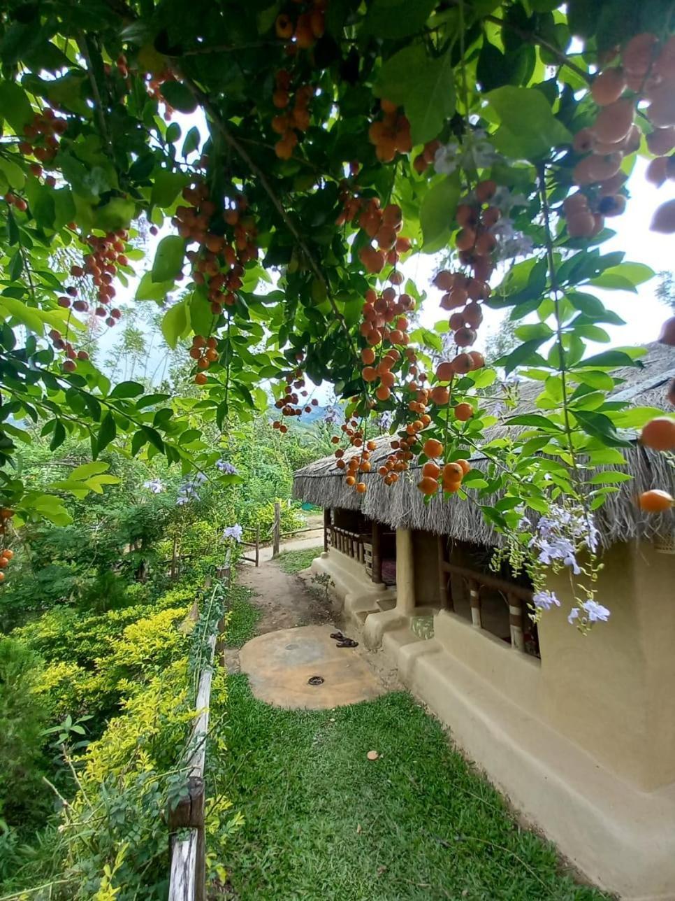 Nature Tones By Brdge Hospitality Maraiyūr Exteriör bild
